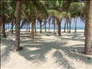 Hoi an - Cua Dai Strand